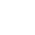 brain
